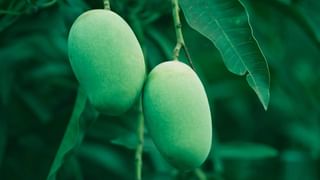 Brain teaser: ನೀವು ಒಗಟು ಬಿಡಿಸುವುದರಲ್ಲಿ ಜಾಣರಾದ್ರೆ ಇದಕ್ಕೆ ಉತ್ತರ ಹುಡುಕಿ ನೋಡೋಣ!