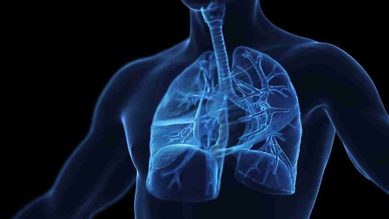 Lung Health: ನಿಮ್ಮ ಶ್ವಾಸಕೋಶ ಆರೋಗ್ಯವಾಗಿರಲು ನಿಯಮಿತವಾಗಿ ಈ ಹಣ್ಣುಗಳ ಸೇವನೆ ಮಾಡಿ