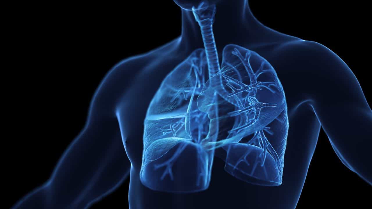 Lung Health: ನಿಮ್ಮ ಶ್ವಾಸಕೋಶ ಆರೋಗ್ಯವಾಗಿರಲು ನಿಯಮಿತವಾಗಿ ಈ ಹಣ್ಣುಗಳ ಸೇವನೆ ಮಾಡಿ