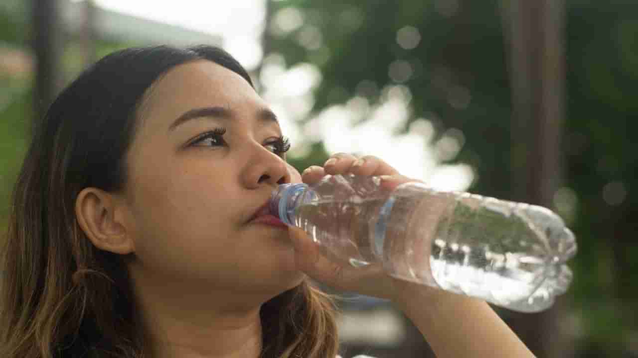 ಪ್ರವಾಸಗಳಿಗೆ ಹೋದಾಗ ಫಿಲ್ಟರ್ ಇಲ್ಲದೆಯೇ ಶುದ್ಧ ನೀರನ್ನು ಕುಡಿಯಲು ಇಲ್ಲಿದೆ ಸುಲಭ ವಿಧಾನ