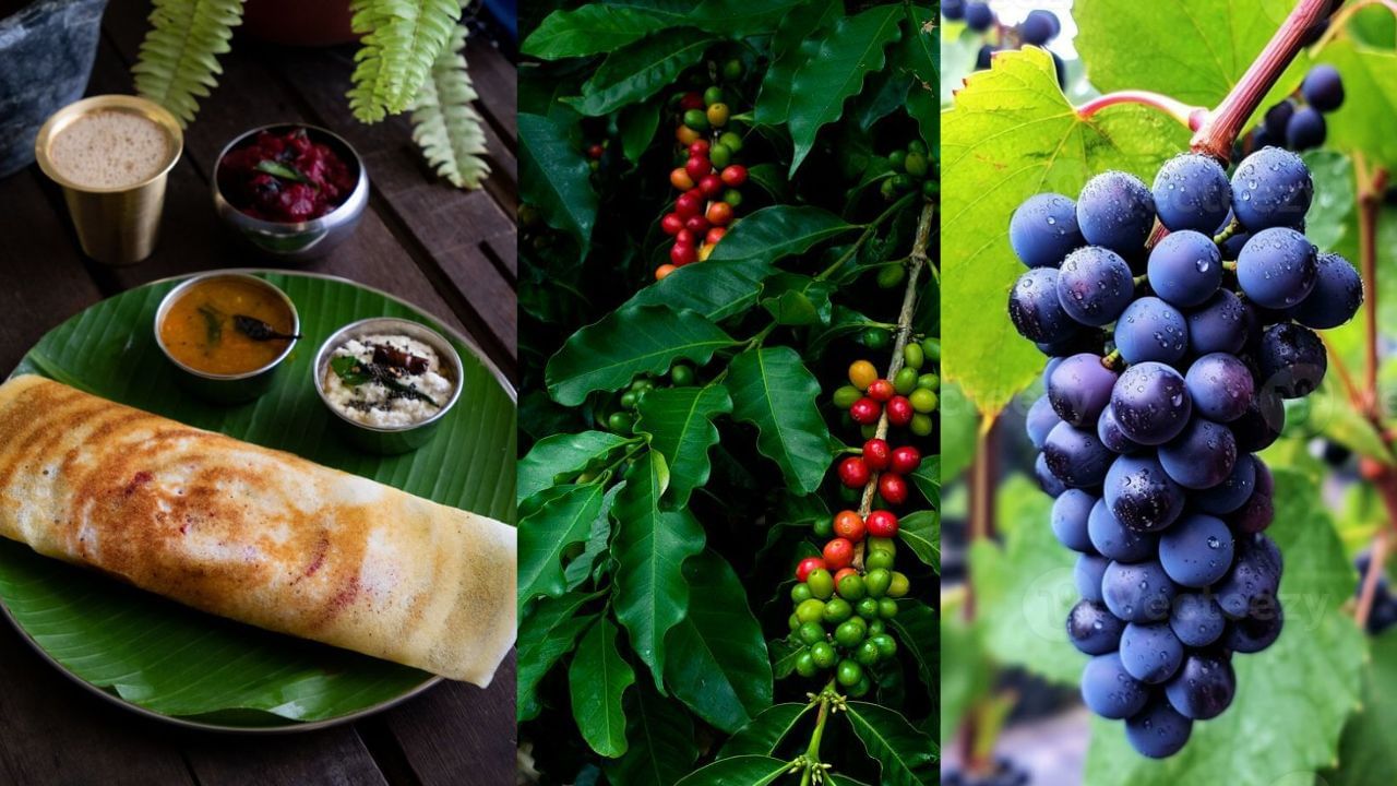 ಸಿಹಿ ತಿಂಡಿಯಿಂದ ರೇಷ್ಮೆ ಸೀರೆಗಳವರೆಗೆ : ಕರ್ನಾಟಕದ ಈ ಜಿಲ್ಲೆಗಳು ಈ ಕಾರಣಕ್ಕೆ ಫೇಮಸ್ ನೋಡಿ