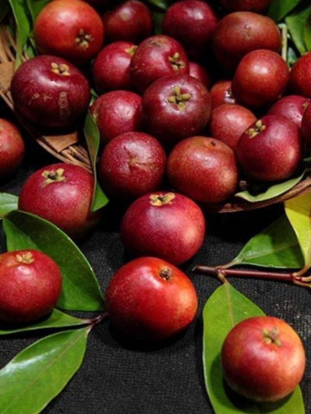 ಬೇಸಿಗೆಯಲ್ಲಿ ಕೋಕಮ್​ ಜ್ಯೂಸ್​ ಕುಡಿಯುವುದರ ಪ್ರಯೋಜನ