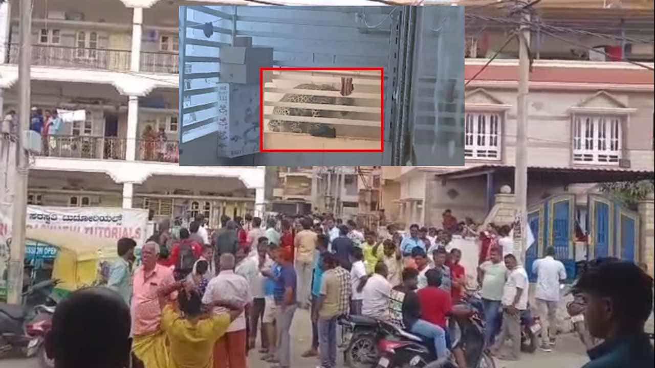 ಮನೆಗೆ ನುಗ್ಗಿದ ಚಿರತೆ.. ಡೋರ್ ಲಾಕ್ ಮಾಡಿ ಆಚೆ ಬಂದ ದಂಪತಿ: ಮುಂದೇನಾಯ್ತು?
