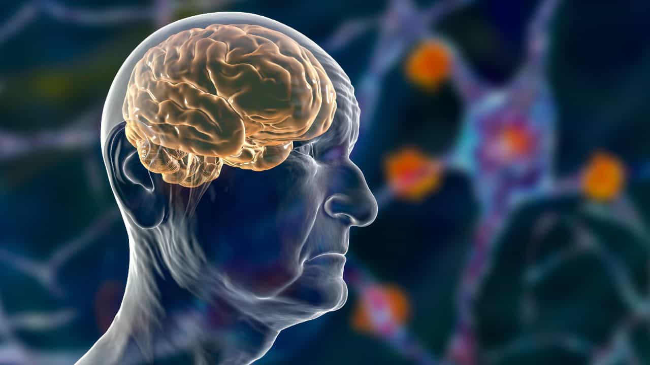 Brain Ageing: ಮೆದುಳಿಗೆ ದೊಡ್ಡ ಪೆಟ್ಟು ನೀಡಬಹುದು ನಿಮ್ಮ ಜಡ ಜೀವನಶೈಲಿ, ಈ ಬಗ್ಗೆ ಇರಲಿ ಎಚ್ಚರ