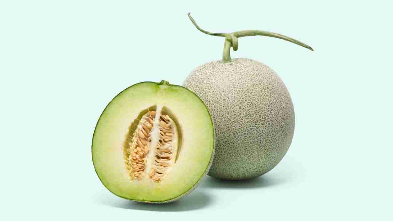 Tips To Pick Muskmelon: ನೀವು ಖರೀದಿಸುವ ಕರ್ಬೂಜ ಹಣ್ಣು ಸಿಹಿ ಮತ್ತು ಮಾಗಿದೆಯೇ ಎಂದು ಈ ರೀತಿ ಕಂಡುಕೊಳ್ಳಿ