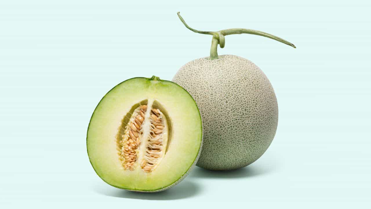 Tips To Pick Muskmelon: ನೀವು ಖರೀದಿಸುವ ಕರ್ಬೂಜ ಹಣ್ಣು ಸಿಹಿ ಮತ್ತು ಮಾಗಿದೆಯೇ ಎಂದು ಈ ರೀತಿ ಕಂಡುಕೊಳ್ಳಿ Tips To Pick Muskmelon: ನೀವು ಖರೀದಿಸುವ ಕರ್ಬೂಜ ಹಣ್ಣು ಸಿಹಿ ಮತ್ತು ಮಾಗಿದೆಯೇ ಎಂದು ಈ ರೀತಿ ಕಂಡುಕೊಳ್ಳಿ