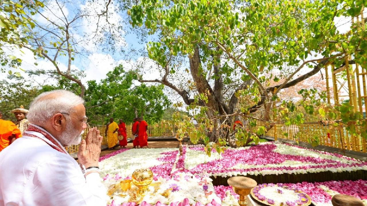 ಶ್ರೀಲಂಕಾ: 2,300 ವರ್ಷ ಹಳೆಯ ಬೋಧಿ ವೃಕ್ಷವಿರುವ ಬೌದ್ಧ ದೇವಾಲಯಕ್ಕೆ ಪ್ರಧಾನಿ ಮೋದಿ ಭೇಟಿ