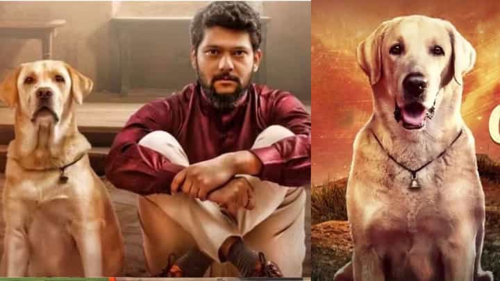ನಾಯಿ ಬಂಟಿಗೆ ಸಿಗುತ್ತಿದ್ದ ರಾಯಲ್ ಟ್ರೀಟ್ಮೆಂಟ್ ಬಗ್ಗೆ ರಾಕೇಶ್ ಮಾತು ನಾಯಿ ಬಂಟಿಗೆ ಸಿಗುತ್ತಿದ್ದ ರಾಯಲ್ ಟ್ರೀಟ್ಮೆಂಟ್ ಬಗ್ಗೆ ರಾಕೇಶ್ ಮಾತು