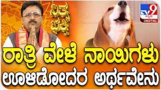 VIDEO: ಏಟಿಗೆ ಎದಿರೇಟು… ಆಕ್ರೋಶಭರಿತರಾಗಿ ಸಂಭ್ರಮಿಸಿದ ವಿರಾಟ್ ಕೊಹ್ಲಿ