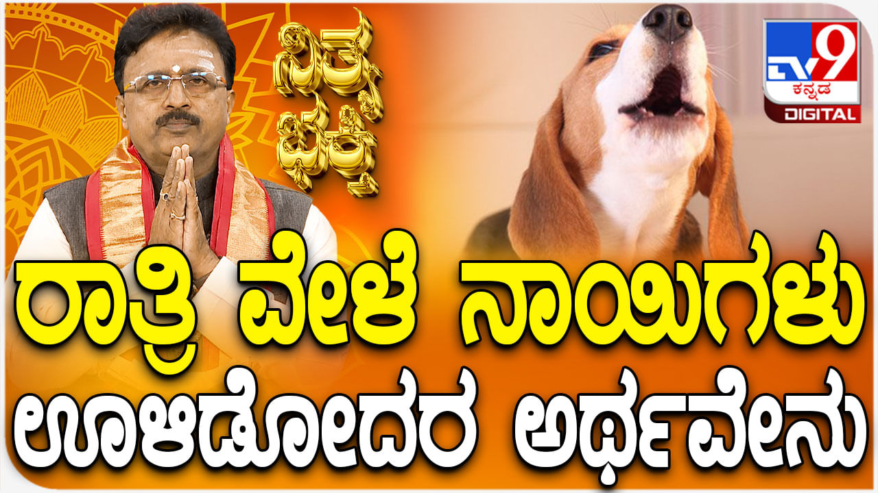 Daily Devotional: ರಾತ್ರಿ ವೇಳೆ ನಾಯಿಗಳು ಊಳಿಡೋದರ ಅರ್ಥವೇನು?