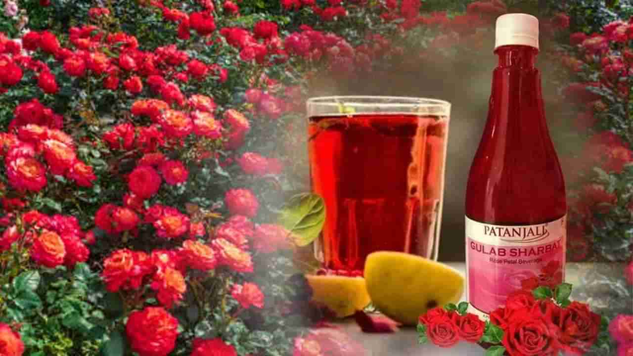 ಪತಂಜಲಿ ಗುಲಾಬ್ ಶರ್ಬತ್; ಬೇಸಿಗೆಯ ಬಿಸಿಲಿಗೆ ಪರಿಹಾರ, ರೈತರಿಗೂ ಆಧಾರ