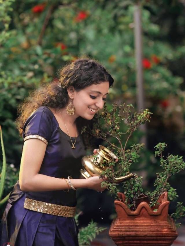 ತುಳಸಿಗೆ ಅರಶಿನ ಮಿಶ್ರಿತ ನೀರು ಹಾಕಿ; ಪ್ರಯೋಜನ ಸಾಕಷ್ಟಿವೆ