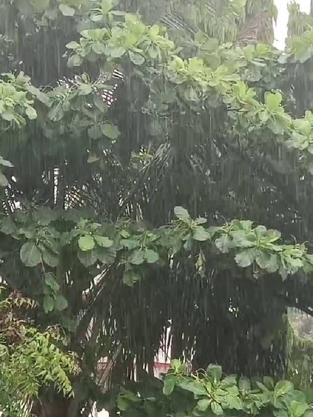 ಎಲ್ಲೆಲ್ಲಿ ಮಳೆ?  ಇಲ್ಲಿದೆ ಕರ್ನಾಟಕ ಹವಾಮಾನ ವರದಿ