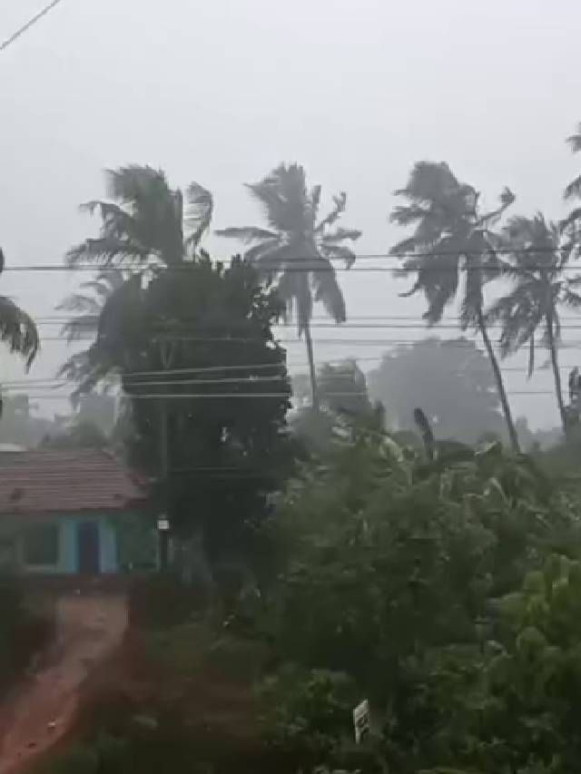 ತಂಪೆರೆದ ಮಳೆರಾಯ: ರಾಜ್ಯದ ಹಲವು ಜಿಲ್ಲೆಗಳಲ್ಲಿ ವರುಣಾರ್ಭಟ