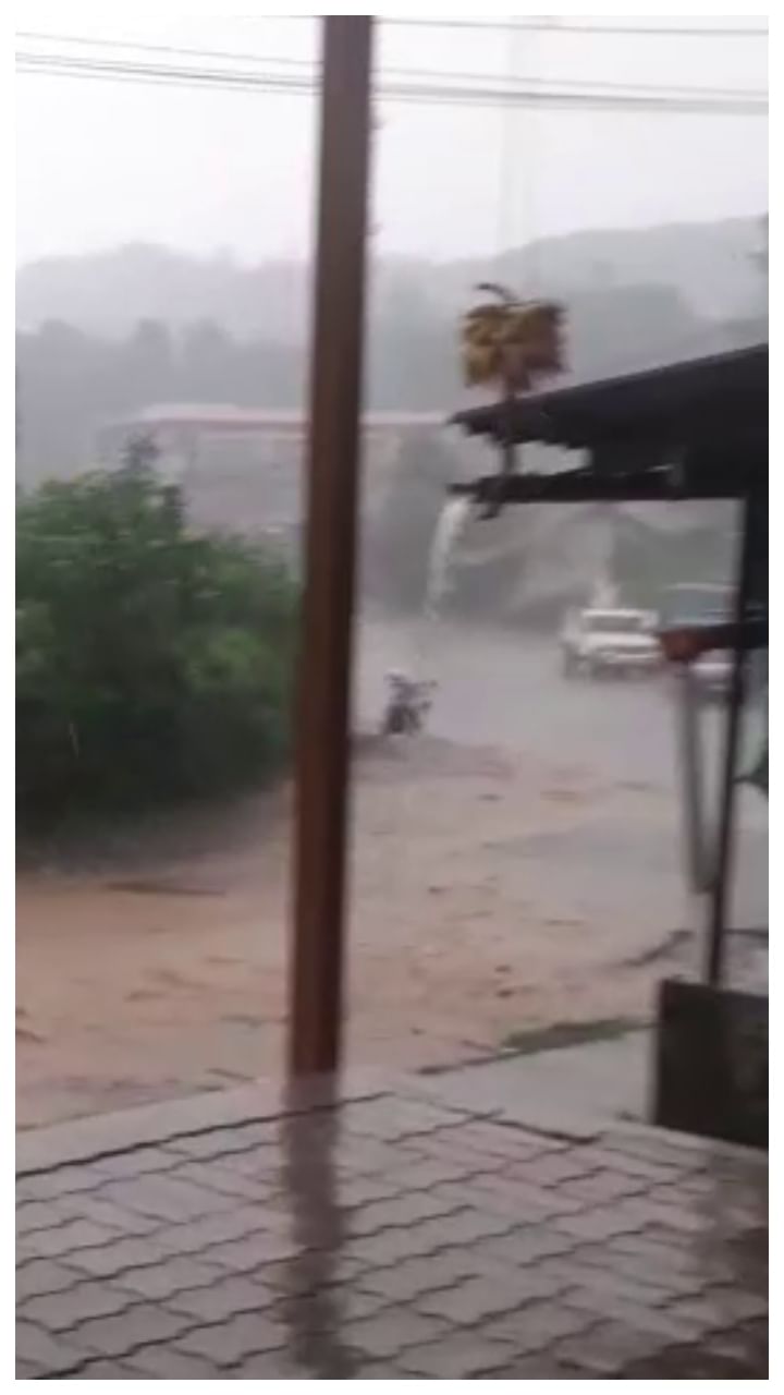 Rain (14)