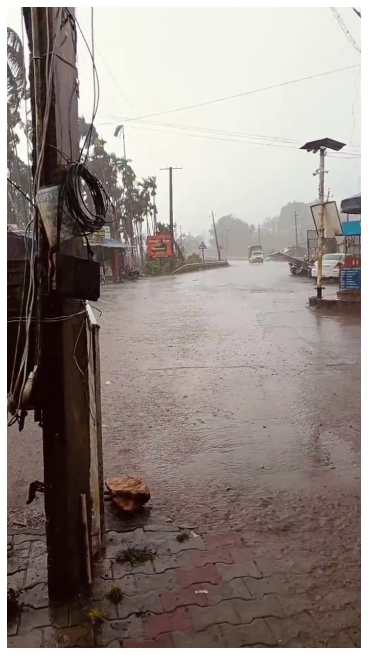 Rain (16)