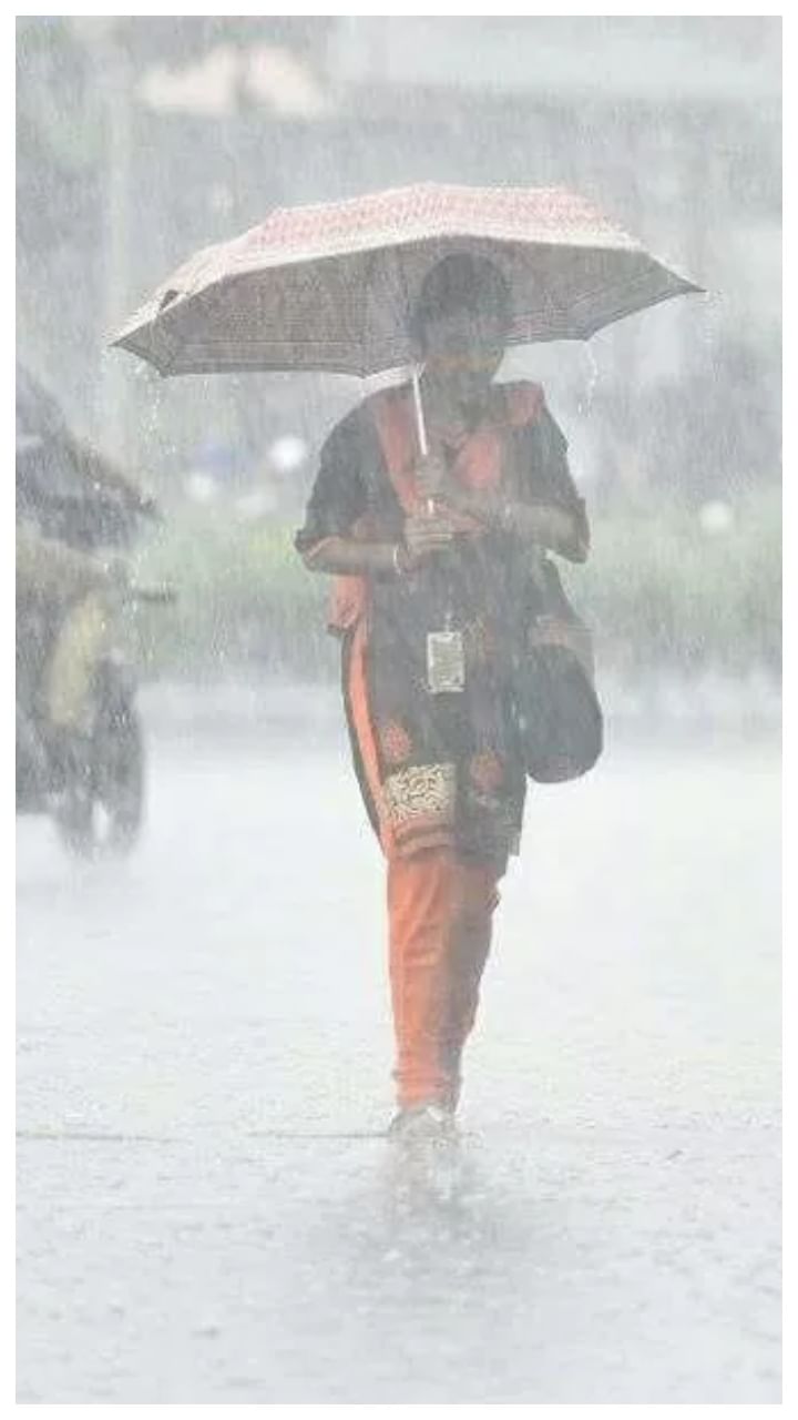 Rain (22)