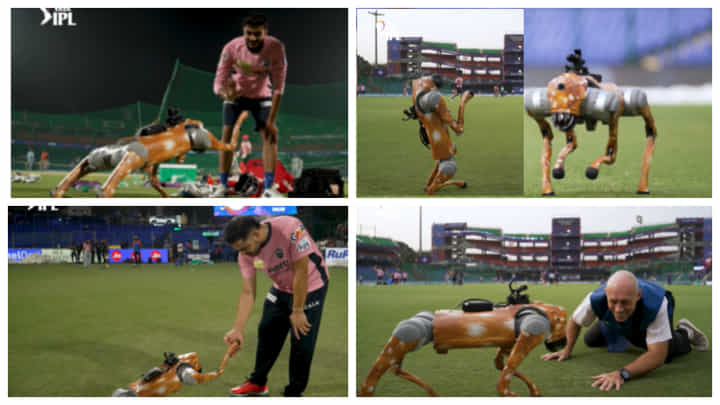 IPL 2025: ಡೆಲ್ಲಿ- ಮುಂಬೈ ಪಂದ್ಯಕ್ಕೂ ಮುನ್ನ ಮೈದಾನಕ್ಕೆ ಬಂದ ರೋಬೋ ಶ್ವಾನ; ವಿಡಿಯೋ ನೋಡಿ IPL 2025: ಡೆಲ್ಲಿ- ಮುಂಬೈ ಪಂದ್ಯಕ್ಕೂ ಮುನ್ನ ಮೈದಾನಕ್ಕೆ ಬಂದ ರೋಬೋ ಶ್ವಾನ; ವಿಡಿಯೋ ನೋಡಿ