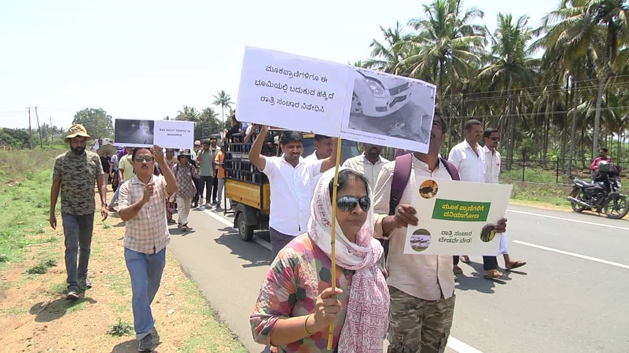 Save Bandipur: ಬಂಡೀಪುರದಲ್ಲಿ ರಾತ್ರಿ ವಾಹನ ಸಂಚಾರ ನಿಷೇಧ ತೆರವು ವಿರೋಧಿಸಿ ಸಾವಿರಾರು ಜನರಿಂದ ಪಾದಯಾತ್ರೆ