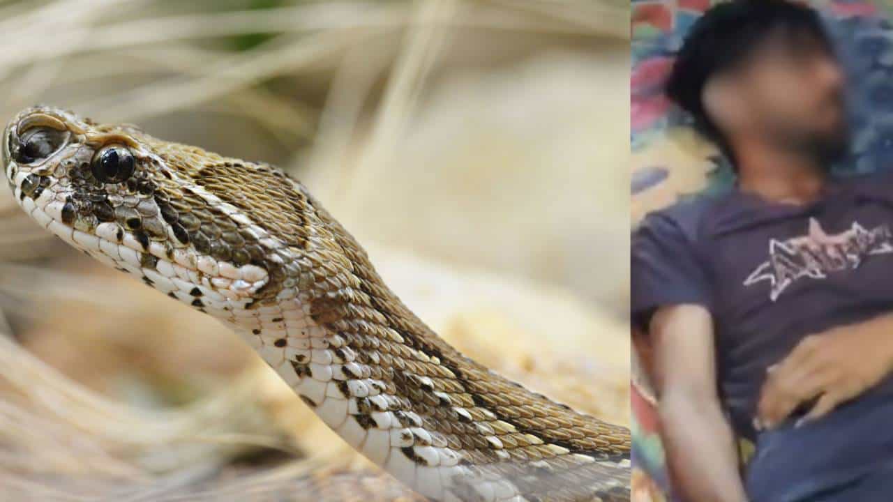 ಕೋಲ್ಡ್​ ಬ್ಲಡೆಡ್ ಮರ್ಡರ್: ಆತ ಸತ್ತಿದ್ದು 10 ಬಾರಿ ಹಾವು ಕಚ್ಚಿದ್ದರಿಂದಲ್ಲ, ಅದು ಹೆಂಡತಿಯ ಪ್ಲ್ಯಾನ್