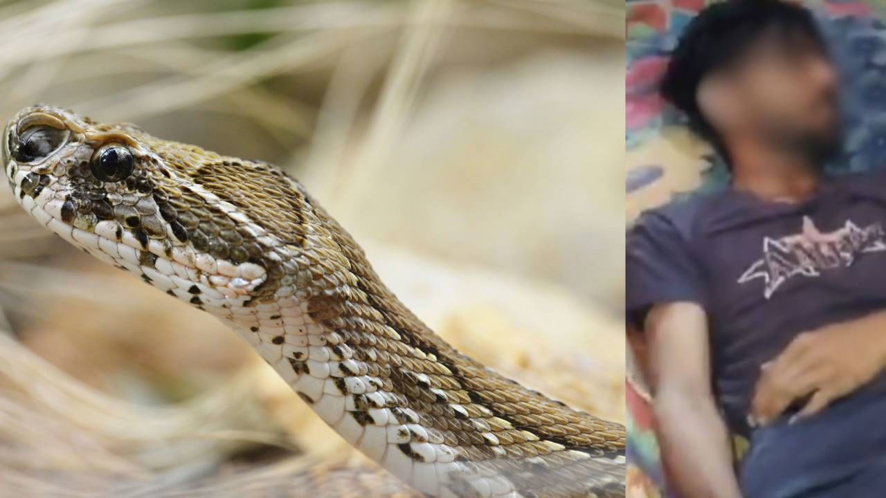 ಕೋಲ್ಡ್​ ಬ್ಲಡೆಡ್ ಮರ್ಡರ್: ಆತ ಸತ್ತಿದ್ದು 10 ಬಾರಿ ಹಾವು ಕಚ್ಚಿದ್ದರಿಂದಲ್ಲ, ಅದು ಹೆಂಡತಿಯ ಪ್ಲ್ಯಾನ್