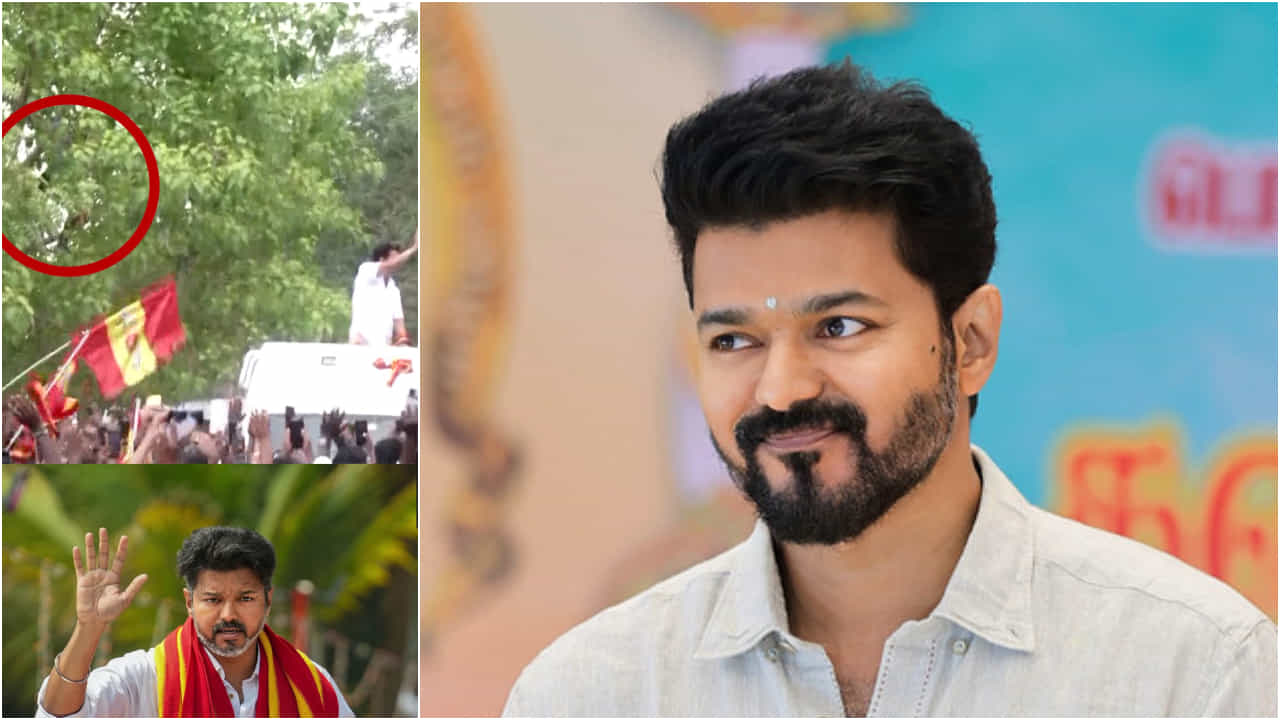 ದಳಪತಿ ವಿಜಯ್ ನೋಡಲು ಮರದಿಂದ ಜಿಗಿದ ಹುಚ್ಚು ಅಭಿಮಾನಿ; ವಿಡಿಯೋ ವೈರಲ್ ದಳಪತಿ ವಿಜಯ್ ನೋಡಲು ಮರದಿಂದ ಜಿಗಿದ ಹುಚ್ಚು ಅಭಿಮಾನಿ; ವಿಡಿಯೋ ವೈರಲ್