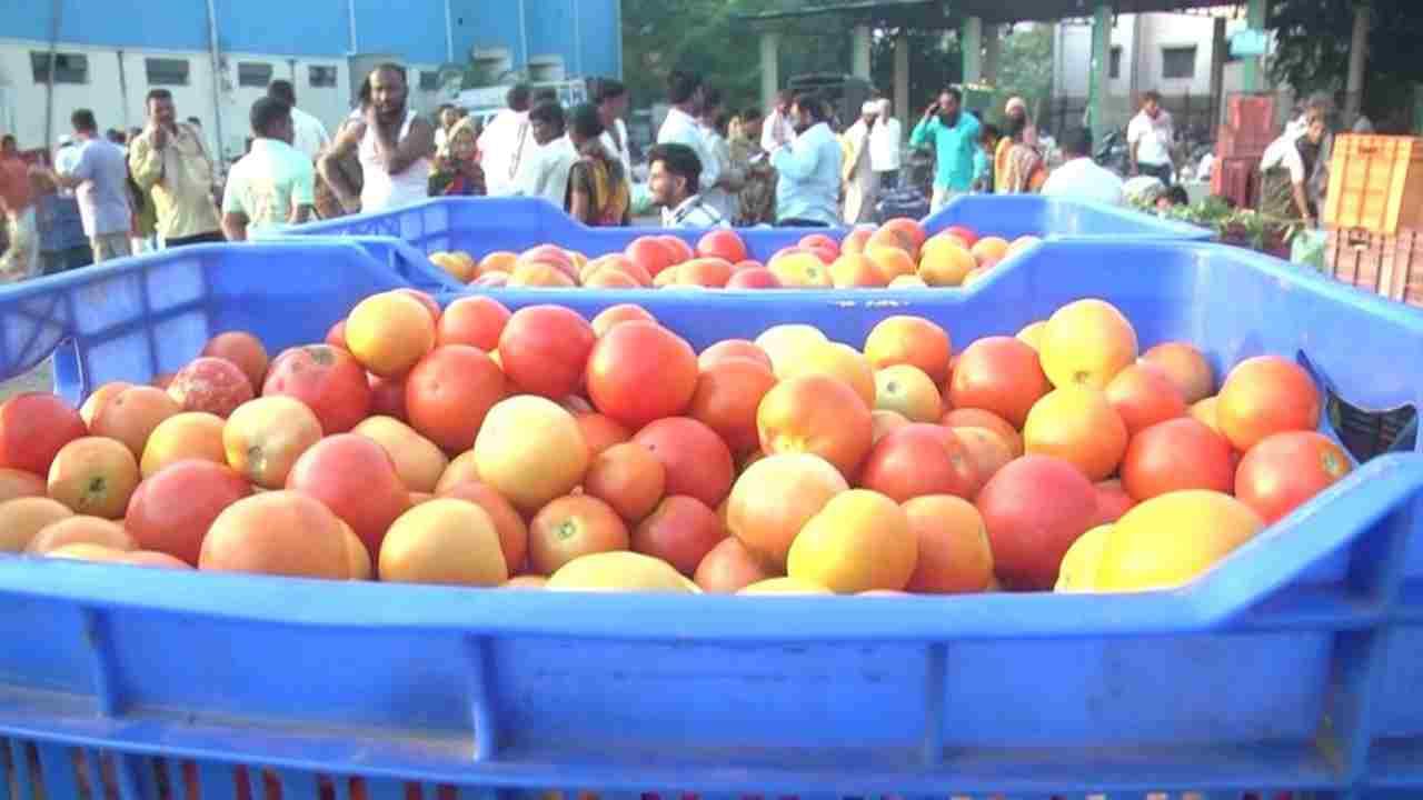 ಏಕಾಏಕಿ ಟೊಮೆಟೊ ದರ ಪಾತಾಳಕ್ಕೆ ಕುಸಿದಿದ್ದು ರೈತರು ಕಂಗಾಲಾಗಿದ್ದಾರೆ. ದರ ಕುಸಿತಕ್ಕೆ ಗದಗ ಎಪಿಎಂಸಿಯಲ್ಲಿ ಅನ್ನದಾತರು ಆಕ್ರೋಶ ಹೊರಹಾಕಿದ್ದಾರೆ. ಅಗತ್ಯ ವಸ್ತುಗಳ ದರಗಳು ಏರಿಕೆಯಾದರೂ ರೈತರು ಬೆಳೆದ ಬೆಳೆಗಳ ದರ ಏಕೆ ಏರಿಕೆಯಾಗುತ್ತಿಲ್ಲ ಅಂತ ಕಿಡಿಕಾರಿದ್ದಾರೆ.