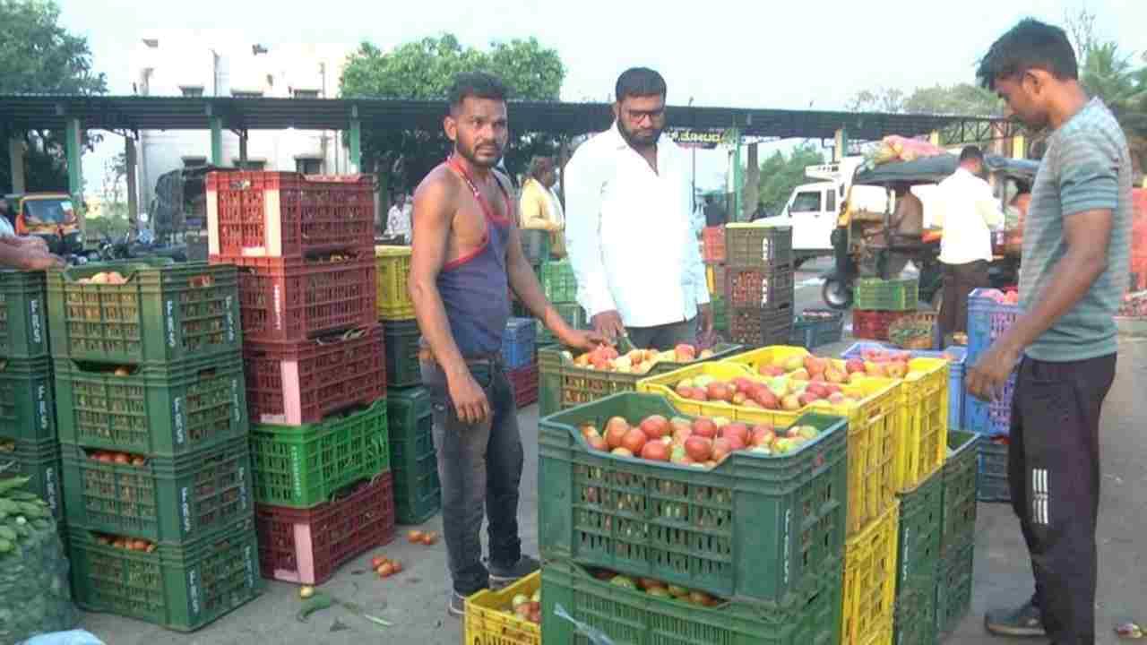 ಬದನೆಕಾಯಿ, ನುಗ್ಗೆಕಾಯಿ ಬೆಲೆಯೂ ಕುಸಿತವಾಗಿದೆ. ಒಂದು ಟ್ರೇ ಬದನೆಕಾಯಿಗೆ 50 ರಿಂದ 80 ರೂ ಬೆಲೆ ಇದೆ. ನುಗ್ಗೆಕಾಯಿ ಒಂದು ಕೆಜಿಗೆ 10 ರೂ ಮಾರಾಟವಾಗುತ್ತಿದೆ. ಇನ್ನು ಒಂದು ಟ್ರೇ ಟೊಮೆಟೊ ಮಾರುಕಟ್ಟೆಯಲ್ಲಿ 50 ರೂ. ಮಾರಾಟವಾಗುತ್ತಿದೆ. ರೈತರು ಎಕರೆಗೆ 30-50 ಸಾವಿರ ರೂ ಮಾಡಿರುವ ಖರ್ಚು ಕೂಡ ವಾಪಸ್ ಬರಿತ್ತಿಲ್ಲ.