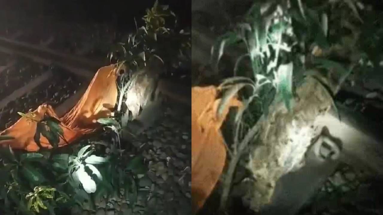 Video: ಗರೀಬ್​ ರಥ್​ ಎಕ್ಸ್​ಪ್ರೆಸ್​ ರೈಲನ್ನು ಹಳಿ ತಪ್ಪಿಸುವ ಯತ್ನ ವಿಫಲ