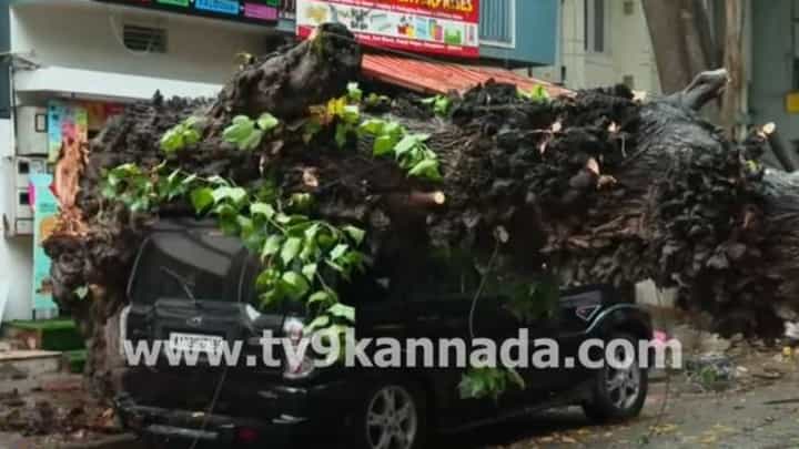 ಬೆಂಗಳೂರಿನ ರಾಜಾಜಿನಗರದಲ್ಲಿ ಬೃಹತ್ ಮರ ಉರುಳಿ ಐದಾರು ವಾಹನಗಳು ಜಖಂ, ಅದೃಷ್ಟವಶಾತ್ ಪ್ರಾಣಾಪಾಯವಿಲ್ಲ ಬೆಂಗಳೂರಿನ ರಾಜಾಜಿನಗರದಲ್ಲಿ ಬೃಹತ್ ಮರ ಉರುಳಿ ಐದಾರು ವಾಹನಗಳು ಜಖಂ, ಅದೃಷ್ಟವಶಾತ್ ಪ್ರಾಣಾಪಾಯವಿಲ್ಲ