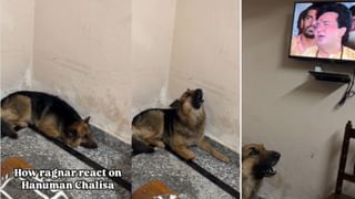 Viral: 1.5 ಲಕ್ಷ ಮೌಲ್ಯದ ಐಫೋನ್‌ ಕೊಡಿಸಲು ನಿರಾಕರಿಸಿದ ಪೋಷಕರು; ಮನನೊಂದು ಕೈ ಕೊಯ್ದುಕೊಂಡ 18 ರ ಯುವತಿ