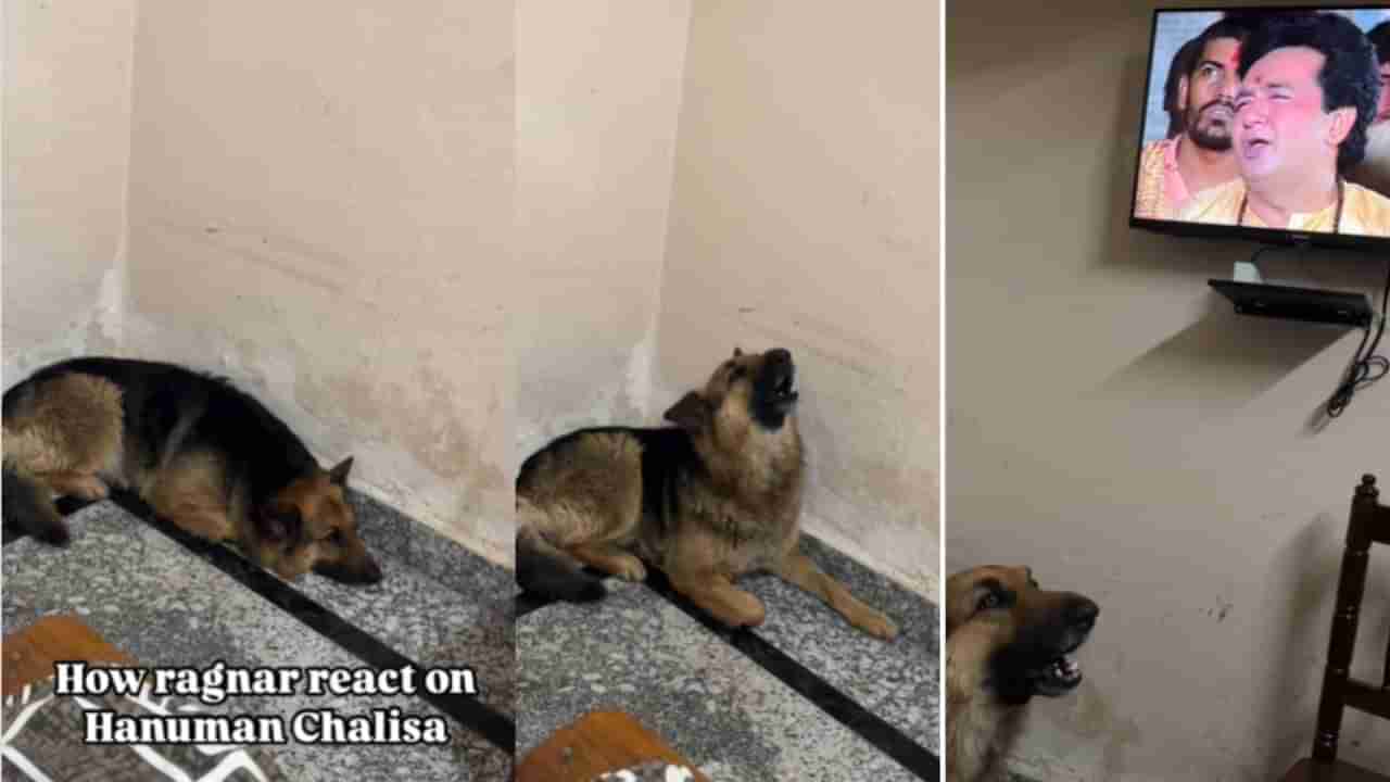 Viral: ಮಲಗಿದ್ದ ಶ್ವಾನ ಹನುಮಾನ್ ಚಾಲೀಸಾ ಕೇಳಿದ ತಕ್ಷಣ ಮಾಡಿದ್ದೇನು ನೋಡಿ!