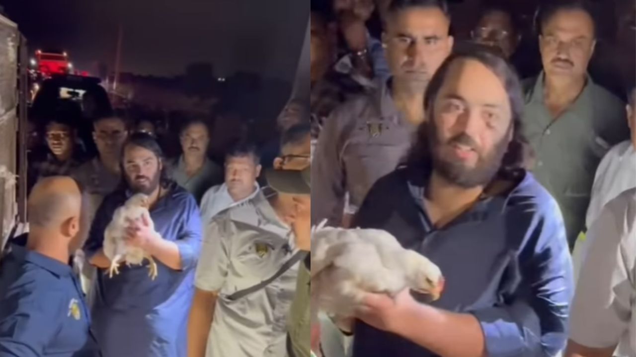 Viral: ಜಾಮ್‌ನಗರದಿಂದ ದ್ವಾರಕಾಕ್ಕೆ ಪಾದಯಾತ್ರೆ; ದಾರಿ ಮಧ್ಯೆ ಕೋಳಿ ಹಿಂಡನ್ನು ರಕ್ಷಿಸಿದ ಅನಂತ್‌ ಅಂಬಾನಿ