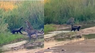 Viral: ನನ್ ಹೆಂಡ್ತಿಯಿಂದ ನನ್ನನ್ನು ರಕ್ಷಿಸಿ ಸರ್; ಪತ್ನಿಯ ಹಲ್ಲೆ, ಕಿರುಕುಳದಿಂದ ಬೇಸತ್ತು ಕಂಪ್ಲೇಂಟ್ ಕೊಟ್ಟ ಗಂಡ