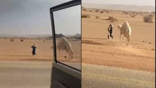 Viral : ಕುನೊ ರಾಷ್ಟ್ರೀಯ ಉದ್ಯಾನವನದ ಚೀತಾಗಳ ಬಾಯಾರಿಕೆ ನೀಗಿಸಲು ಹೋಗಿ ಫಜೀತಿಗೆ ಸಿಲುಕಿದ ಸಿಬ್ಬಂದಿ