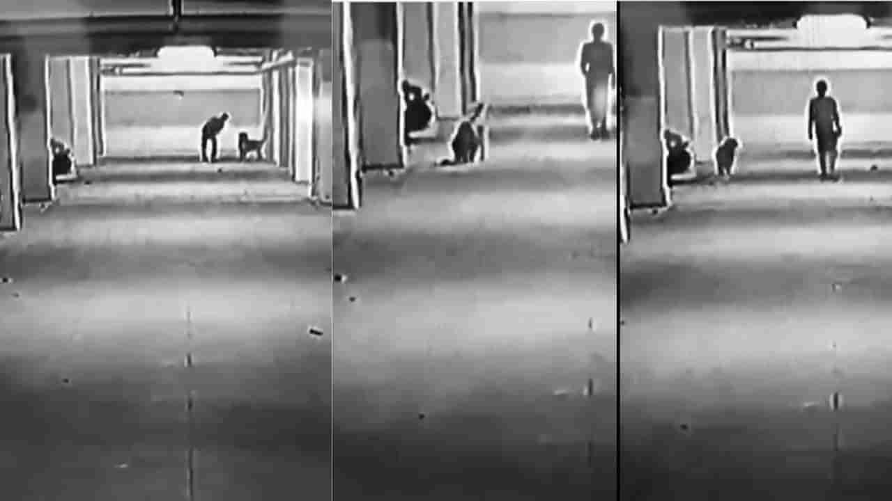 ಐದು ನಾಯಿಮರಿಗಳನ್ನು ನೆಲಕ್ಕೆ ಬಡಿದು ಕಲ್ಲಿನಿಂದ ಜಜ್ಜಿ ಕೊಂದ ವ್ಯಕ್ತಿ, ಅಮಾನವೀಯ ಕೃತ್ಯದ ವಿಡಿಯೋ ವೈರಲ್