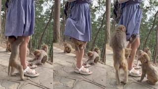 Viral: ನಮ್ಮ ಮೆಟ್ರೋದಲ್ಲಿ ಕುಳಿತು ವಿಮಲ್‌ ಪಾನ್‌ ಮಸಾಲಾ ಜಗಿದ ಪ್ರಯಾಣಿಕ; ಭದ್ರತೆ ಬಿಗಿಗೊಳಿಸಿದ ಬಿಎಂಆರ್‌ಸಿಎಲ್