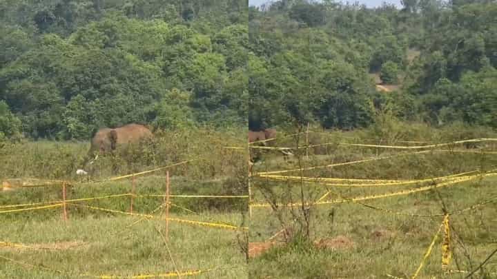 ಸಕಲೇಶಪುರ: ಜೀಪ್ ರ್ಯಾಲಿ ನಡೆಯುವ ವೇಳೆ ಕಾಡಾನೆ ಡೆಡ್ಲಿ ಅಟ್ಯಾಕ್, ಭಯಾನಕ ವಿಡಿಯೋ ಇಲ್ಲಿದೆ ಸಕಲೇಶಪುರ: ಜೀಪ್ ರ್ಯಾಲಿ ನಡೆಯುವ ವೇಳೆ ಕಾಡಾನೆ ಡೆಡ್ಲಿ ಅಟ್ಯಾಕ್, ಭಯಾನಕ ವಿಡಿಯೋ ಇಲ್ಲಿದೆ