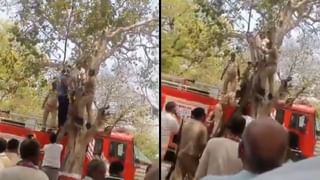 ವಿವಾಹಕ್ಕೆ ಎಂಟು ದಿನ ಇರುವಾಗಲೇ ಸಹೋದರರೊಂದಿಗೆ ಪರಾರಿಯಾದ ಸಹೋದರಿಯರು, ತನಿಖೆಯಲ್ಲಿ ರಿವೀಲ್ ಆಯ್ತು ಅಸಲಿ ವಿಚಾರ