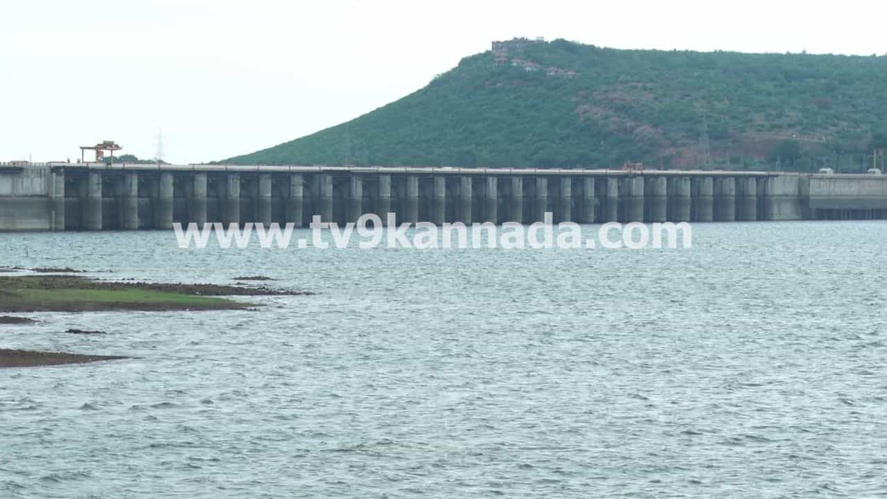 ಭಾರಿ ಮಳೆ ಕಾರಣ ಮೇ ತಿಂಗಳಲ್ಲೇ ಆಲಮಟ್ಟಿ ಡ್ಯಾಂಗೆ 52,650 ಕ್ಯೂಸೆಕ್ ಒಳ ಹರಿವು: ಸಂಭ್ರಮದಲ್ಲಿ ರೈತರು ಭಾರಿ ಮಳೆ ಕಾರಣ ಮೇ ತಿಂಗಳಲ್ಲೇ ಆಲಮಟ್ಟಿ ಡ್ಯಾಂಗೆ 52,650 ಕ್ಯೂಸೆಕ್ ಒಳ ಹರಿವು: ಸಂಭ್ರಮದಲ್ಲಿ ರೈತರು