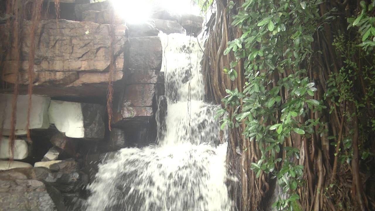 ಬಾಗಲಕೋಟೆ ಜಿಲ್ಲೆ ಇಳಕಲ್ ತಾಲ್ಲೂಕಿನ ದಮ್ಮೂರು ಫಾಲ್ಸ್​ ಧುಮ್ಮುಕ್ಕುತ್ತಿದೆ. ಬೆಟ್ಟದಿಂದ ಗಿಡಮರಗಳ ಮಧ್ಯದಿಂದ ಧುಮ್ಮುಕ್ಕುವ ಜಲಧಾರೆ ಕಡು ಪ್ರವಾಸಿಗರು ಖುಷ್​ ಆಗಿದ್ದಾರೆ. ಜಲಧಾರೆಯಲ್ಲಿ ಕುಣಿದು ಕುಪ್ಪಳಿಸುತ್ತಾ ಸಂಭ್ರಮಿಸುತ್ತಿದ್ದಾರೆ. ಜಲಧಾರೆಯಲ್ಲಿ ಮಕ್ಕಳು, ಯುವಕರು, ಮಹಿಳೆಯರು ಮೈಯೊಡ್ಡಿ ಎಂಜಾಯ್ ಮಾಡುತ್ತಿದ್ದಾರೆ. ಬೆಟ್ಟದಿಂದ ಧುಮ್ಮುಕುವ ದಮ್ಮೂರು ಫಾಲ್ಸ್ ನೋಡುವುದೇ ಕಣ್ಣಿಗೆ ಹಬ್ಬ.