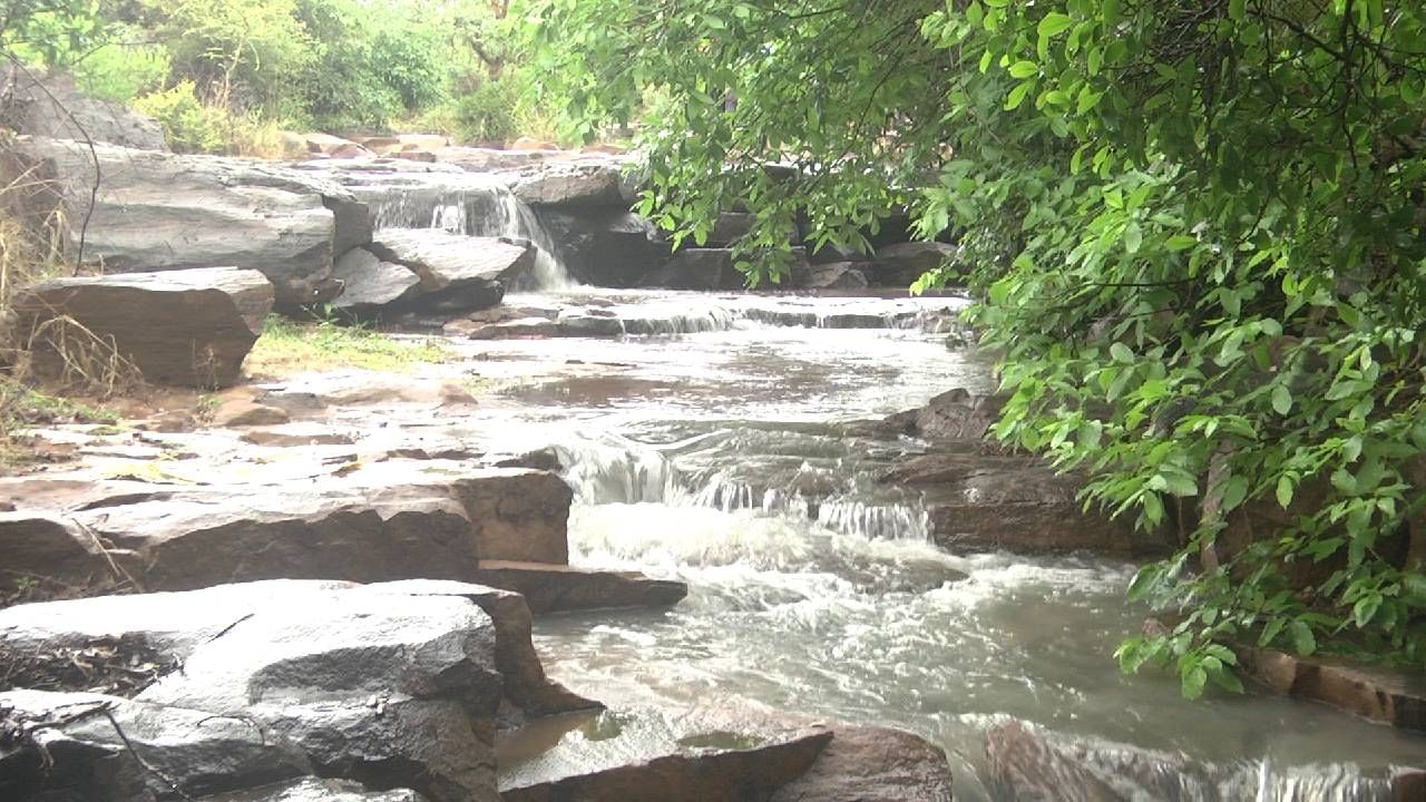 ಇಷ್ಟು ದಿನ ಬಾಗಲಕೋಟೆ ಜಿಲ್ಲೆಯಲ್ಲಿ ಬಿಸಿಲು ಜನರನ್ನು ಹೈರಾಣಾಗಿಸಿತ್ತು. ಮನೆ ಬಿಟ್ಟು ಹೊರ ಬರಲು ಜನ ಹಿಂದೇಟು ಹಾಕ್ತಿದ್ದರು. ನದಿ-ಕೆರೆಗಳು ಖಾಲಿಯಾಗಿದ್ದವು. ಬರದ ಚಿತ್ರಣ ಎಲ್ಲೆಡೆ ಇತ್ತು. ಆದರೆ ‌ಕಳೆದ ಒಂದು ವಾರದಿಂದ ನಿರಂತರ ಮಳೆ ಸುರಿಯುತ್ತಿದೆ. ಇದರಿಂದ ಬತ್ತಿದ ನದಿಗಳು ಭರ್ತಿಯಾದರೆ, ಜಲಪಾತಗಳಿಗೆ ಜೀವಕಳೆ ಬಂದಿದೆ. 