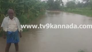 Video: ಇಸ್ರೇಲ್​ನಲ್ಲಿ ಭಾರಿ ಕಾಡ್ಗಿಚ್ಚು, ಸಾವಿರಾರು ಮಂದಿ ಸ್ಥಳಾಂತರ