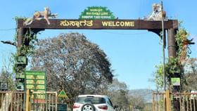 ಬಂಡೀಪುರ ಸಫಾರಿಗೆ ಹೋಗುವ ಪ್ರವಾಸಿಗರಿಗೆ ಸಿಹಿ ಸುದ್ದಿ ನೀಡಿದ ಅರಣ್ಯ ಇಲಾಖೆ