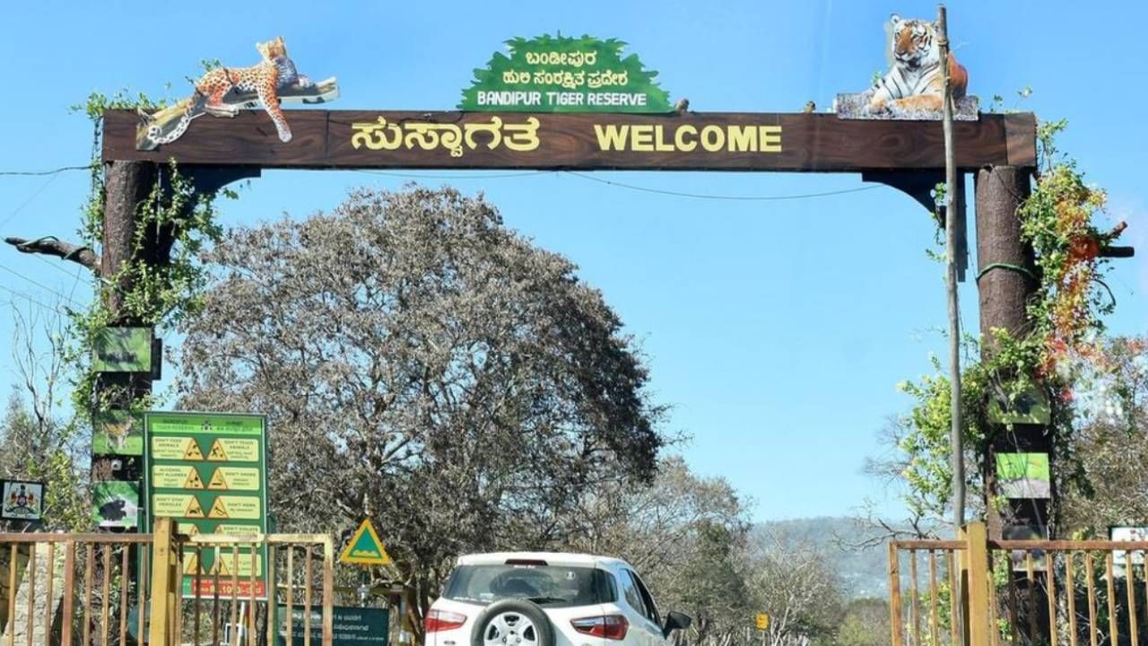 ಬಂಡೀಪುರ ಸಫಾರಿಗೆ ಹೋಗುವ ಪ್ರವಾಸಿಗರಿಗೆ ಸಿಹಿ ಸುದ್ದಿ ನೀಡಿದ ಅರಣ್ಯ ಇಲಾಖೆ