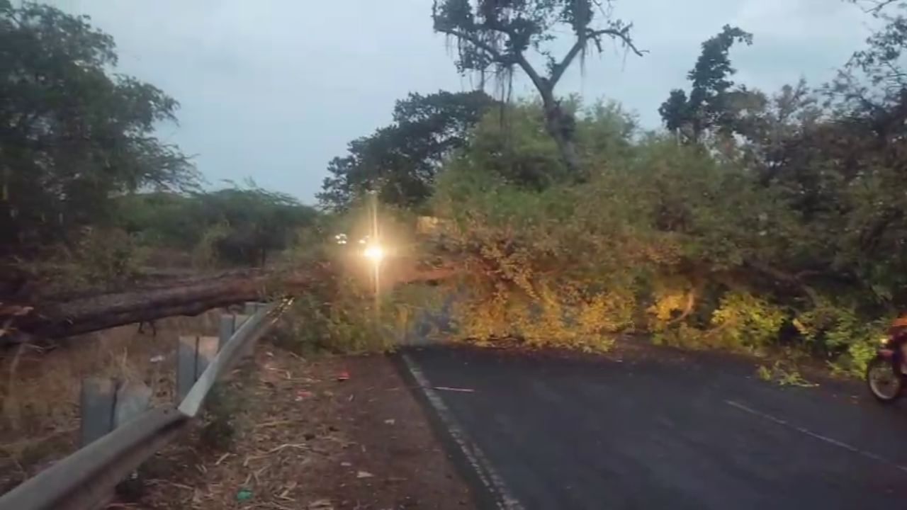 ಬೆಳಗಾವಿಯ ಗೋಕಾಕ್​ನಲ್ಲಿ ತುಂಬಿ ಹರಿಯುತ್ತಿದ್ದ ಚರಂಡಿಯಲ್ಲಿ ವ್ಯಕ್ತಿಯೊಬ್ಬರು ಕೊಚ್ಚಿ ಹೋಗಿದ್ದಾರೆ. ಮದ್ಯ ಸೇವಿಸಿದ್ದ 52 ವರ್ಷದ ಕಾಶಪ್ಪ ಶಿರಟ್ಟಿ ಕಾಲು ಜಾರಿದ್ದರಿಂದ ಚರಂಡಿಯಲ್ಲಿ ಕೊಚ್ಚಿ ಹೋಗಿದ್ದಾರೆ. ಭಾರೀ ಮಳೆಯಿಂದಾಗಿ ಗೋಕಾಕ್ ಮಟನ್ ಮಾರುಕಟ್ಟೆ​ಗೆ ನೀರು ನುಗ್ಗಿದೆ. ಹಲವು ಮನೆಗಳು, ಅಂಗಡಿಗಳಿಗೆ ನೀರು ನುಗ್ಗಿ ಜನರನ್ನು ಸಂಕಷ್ಟಕ್ಕೆ ದೂಡಿದೆ.