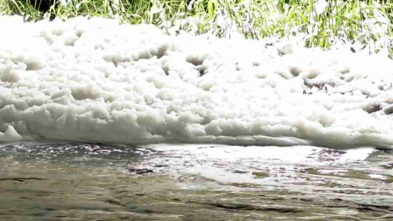 ಬೆಂಗಳೂರಿನ ಬೆಳ್ಳಂದೂರು ಕೆರೆಯಲ್ಲಿ ಮತ್ತೆ ವಿಷಕಾರಿ ನೊರೆ ಹಾವಳಿ: ಅಕ್ಕಪಕ್ಕದ ನಿವಾಸಿಗಳಲ್ಲಿ ಆತಂಕ!