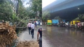 Bangalore Rains: ಬೆಂಗಳೂರಿನಲ್ಲಿ ಮಧ್ಯಾಹ್ನದಿಂದಲೇ ಶುರುವಾದ ಮಳೆ