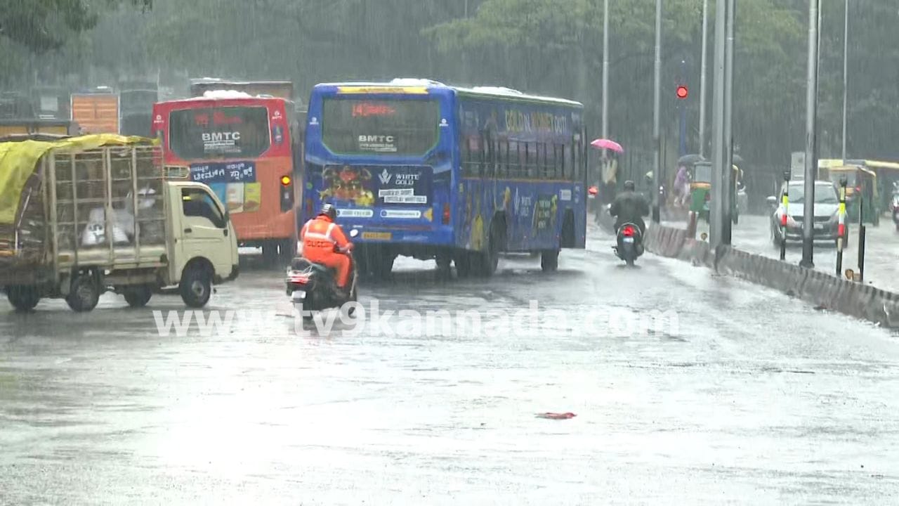 Bengaluru Rains: ನಿರಂತರ ಮಳೆಗೆ ಹೈರಾಣದ ಬೆಂಗಳೂರು ಜನ: ವ್ಯಾಪಾರ ವಹಿವಾಟು ಭಾರಿ ಕುಸಿತ Bengaluru Rains: ನಿರಂತರ ಮಳೆಗೆ ಹೈರಾಣದ ಬೆಂಗಳೂರು ಜನ: ವ್ಯಾಪಾರ ವಹಿವಾಟು ಭಾರಿ ಕುಸಿತ