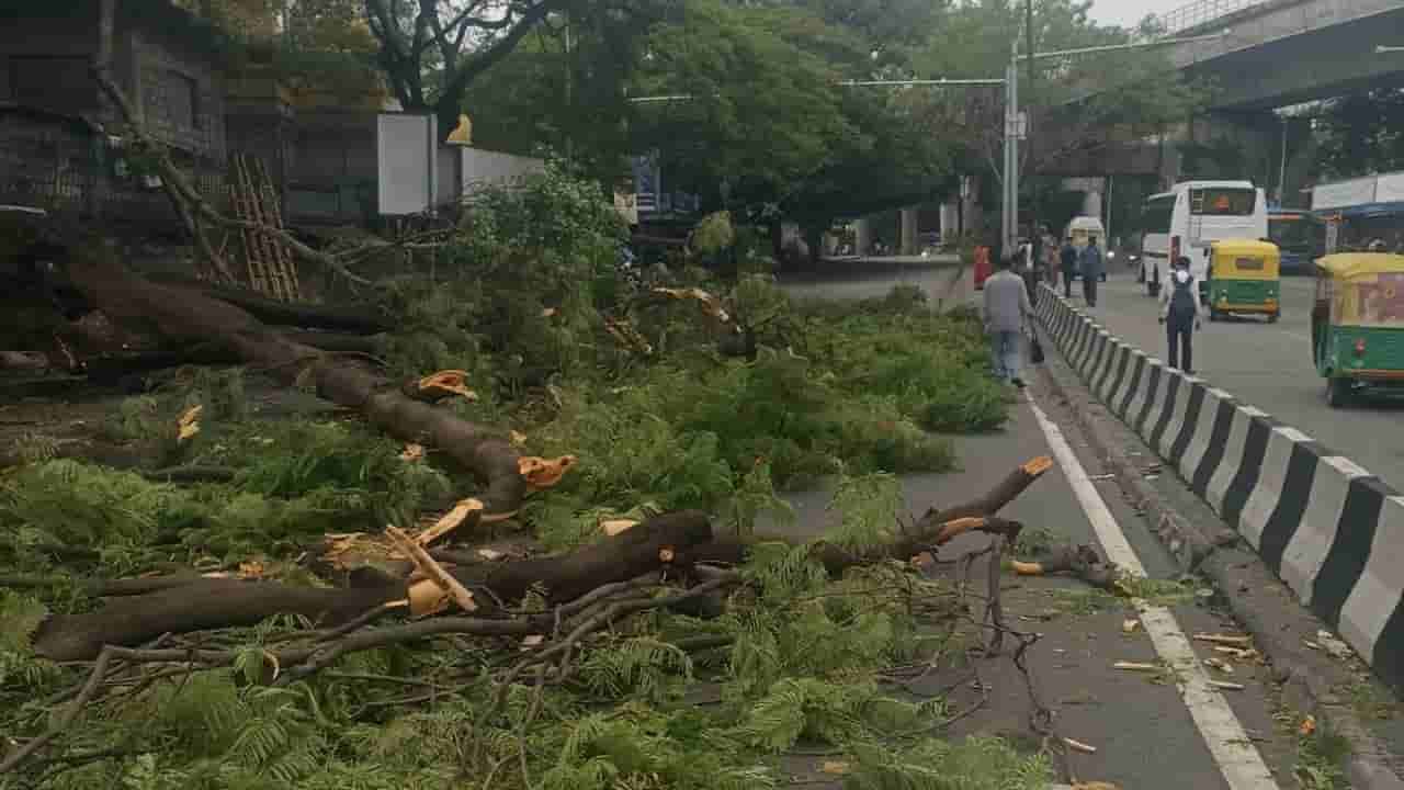 Bengaluru Traffic Advisory: ಬೆಂಗಳೂರಿನ ಅನೇಕ ರಸ್ತೆಗಳಲ್ಲಿ ಇಂದೂ ಸಂಚಾರಕ್ಕೆ ಅಡಚಣೆ, ಇಲ್ಲಿದೆ ಮಾಹಿತಿ